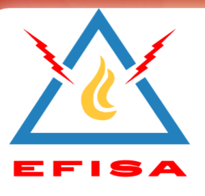 EFISA EFISA