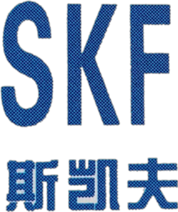 XINXIANG SKF XINXIANG SKF